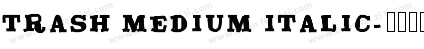 Trash Medium Italic字体转换